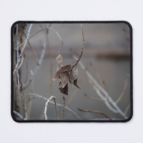 Item preview, Wilted designed and sold by SemataryStills.