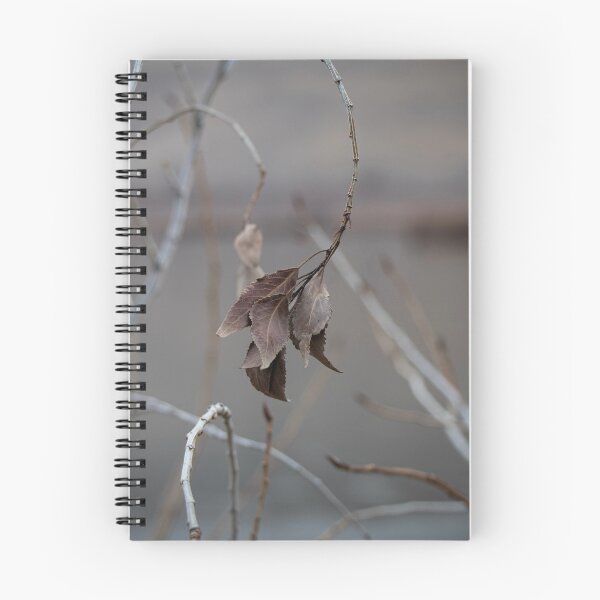 Item preview, Wilted designed and sold by SemataryStills.