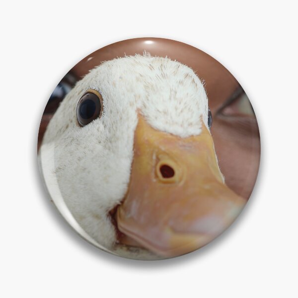 Item preview, Close encounter with a duck designed and sold by anytka.
