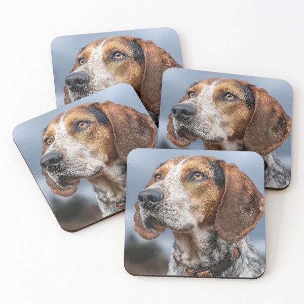 Item preview, American English Coonhound designed and sold by Elisabeth Lucas.
