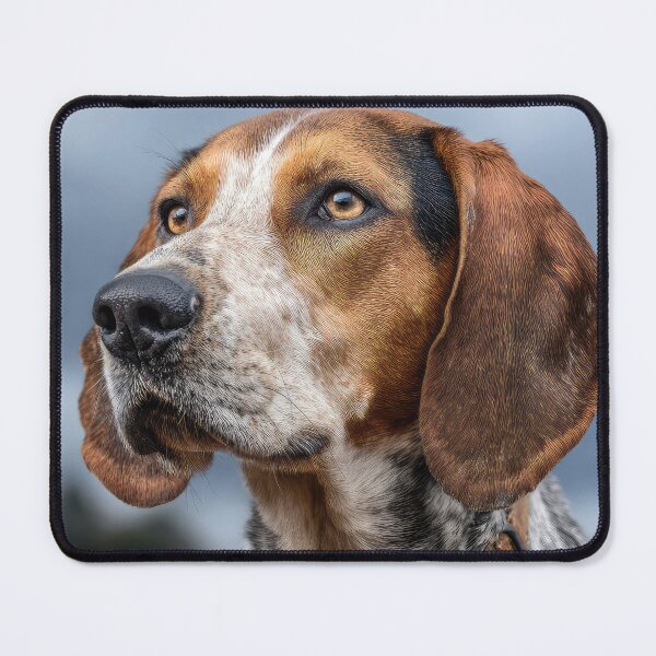 Item preview, American English Coonhound designed and sold by Elisabeth Lucas.