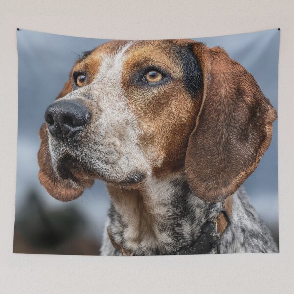 Item preview, American English Coonhound designed and sold by Elisabeth Lucas.