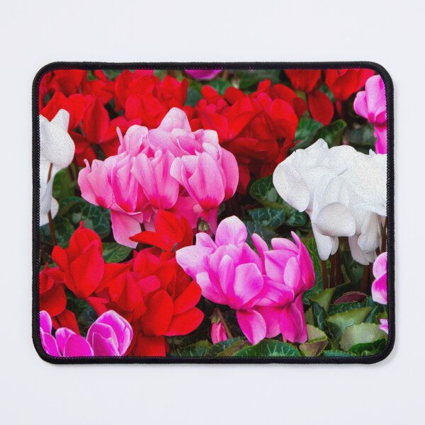 Item preview, Colorful Cyclamen Flowers Oil Paint Style designed and sold by Bure-NS.