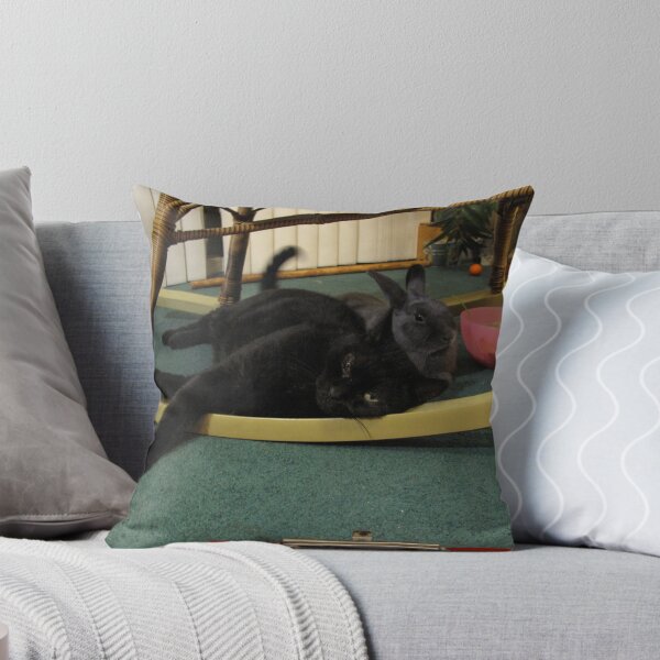 Aperçu de l'œuvre Les chats et les lapins peuvent être les meilleurs amis du monde. créée et vendue par toolsmith.
