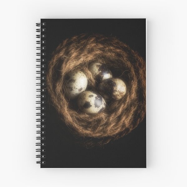 Item preview, Nature's Cradle designed and sold by James DeFazio.