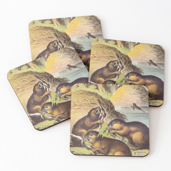 Item preview, Vintage illustration of Beavers of the world designed and sold by Vintage Designs +.