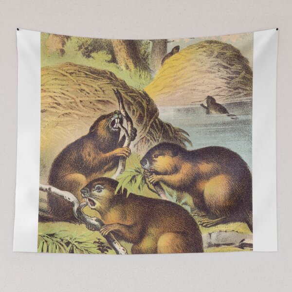 Item preview, Vintage illustration of Beavers of the world designed and sold by Vintage Designs +.