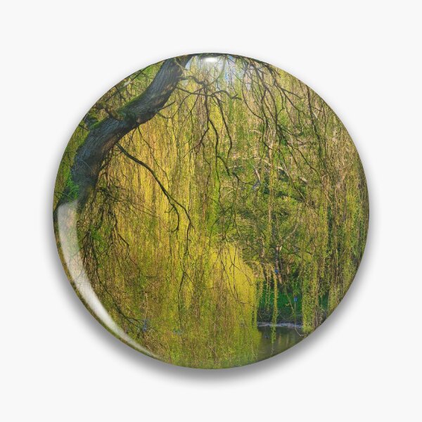 Item preview, Weeping Willow on the River Blyth near Bedlington designed and sold by Violaman.