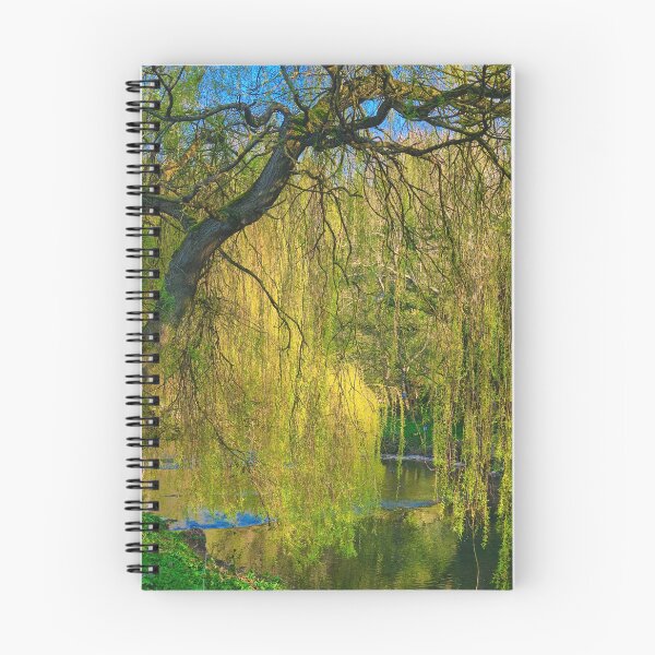 Item preview, Weeping Willow on the River Blyth near Bedlington designed and sold by Violaman.