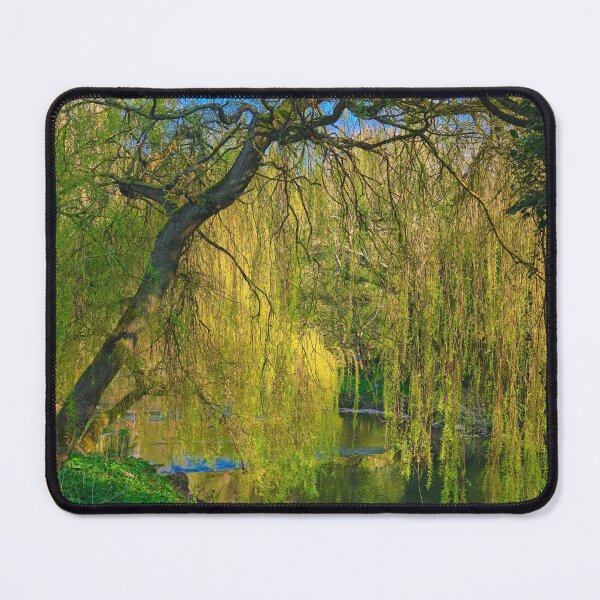 Item preview, Weeping Willow on the River Blyth near Bedlington designed and sold by Violaman.