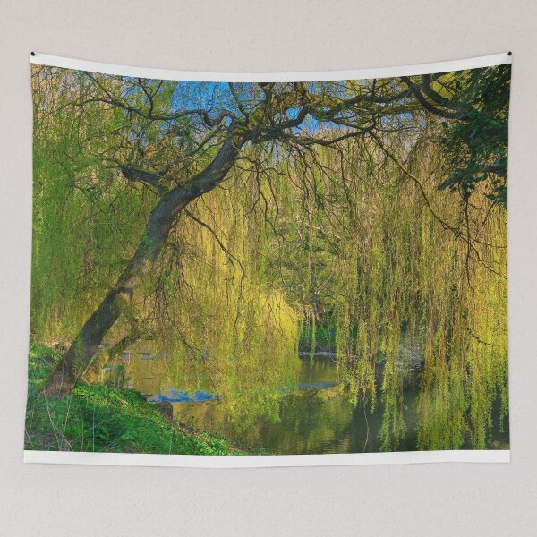 Item preview, Weeping Willow on the River Blyth near Bedlington designed and sold by Violaman.