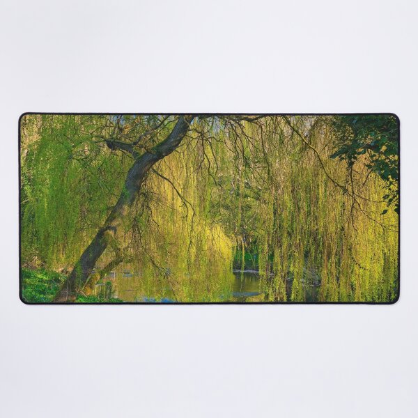 Item preview, Weeping Willow on the River Blyth near Bedlington designed and sold by Violaman.