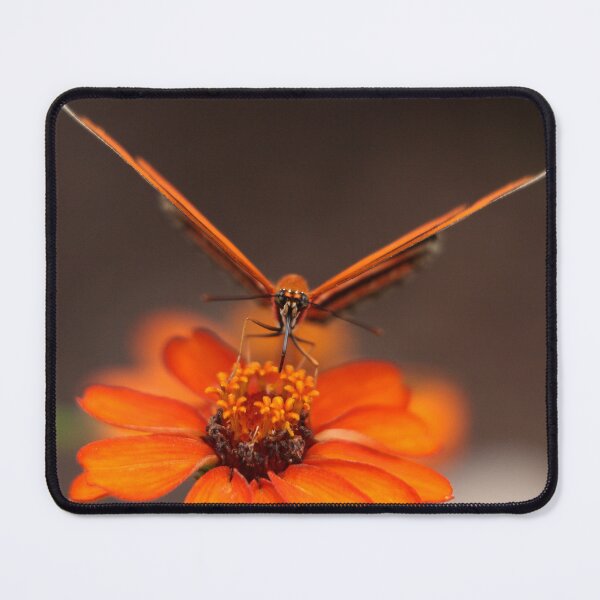 Item preview, Butterfly 15 designed and sold by ParisPoet.