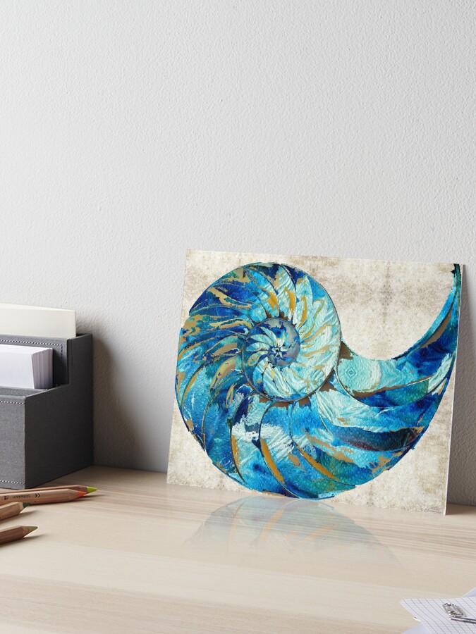 Tropical Blue Art Nautilus Shell Bleu 2 Sharon Cummings Artist Art Board Print By Sharoncummings Redbubble