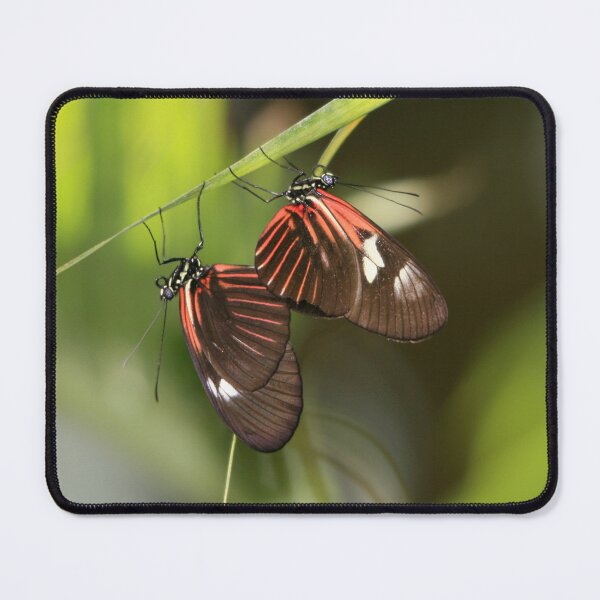 Item preview, Butterfly 16 Wing Modesty designed and sold by ParisPoet.
