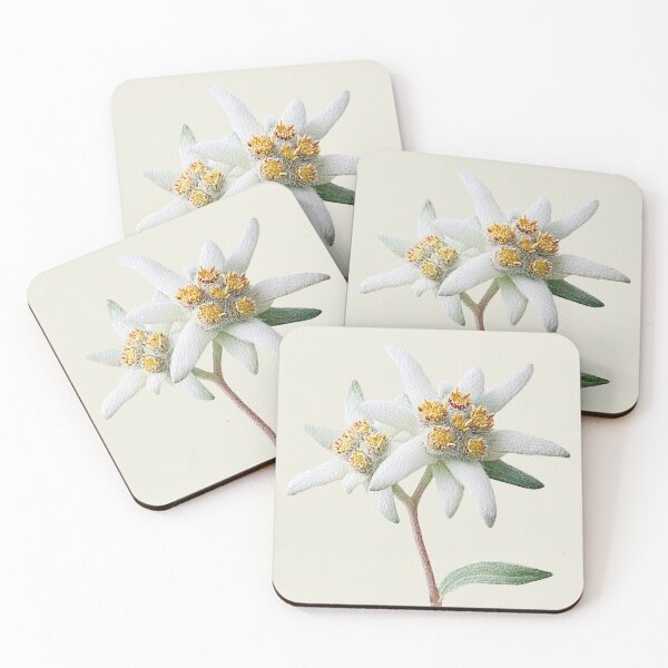 Item preview, Two Edelweiss Flowers designed and sold by Violet Peonies.