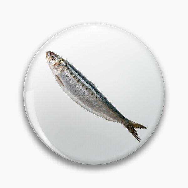 Item preview, Real Sardine Funny Niche Meme designed and sold by ShrimplyAlexis.