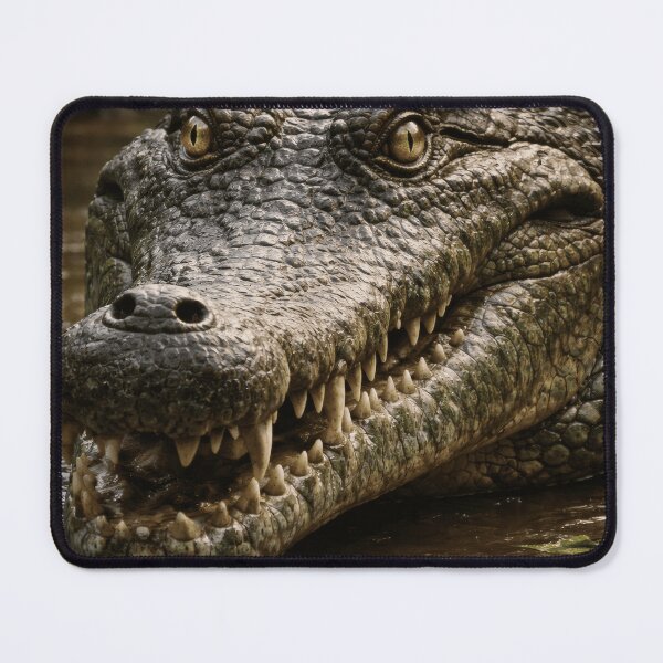 Item preview, Primeval Sentinel: A Close Study of the Crocodilian Gaze designed and sold by PrehistoryPulse.