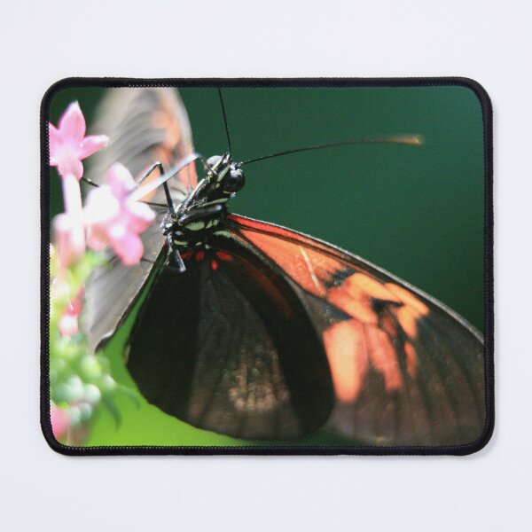 Item preview, Butterfly 17 designed and sold by ParisPoet.