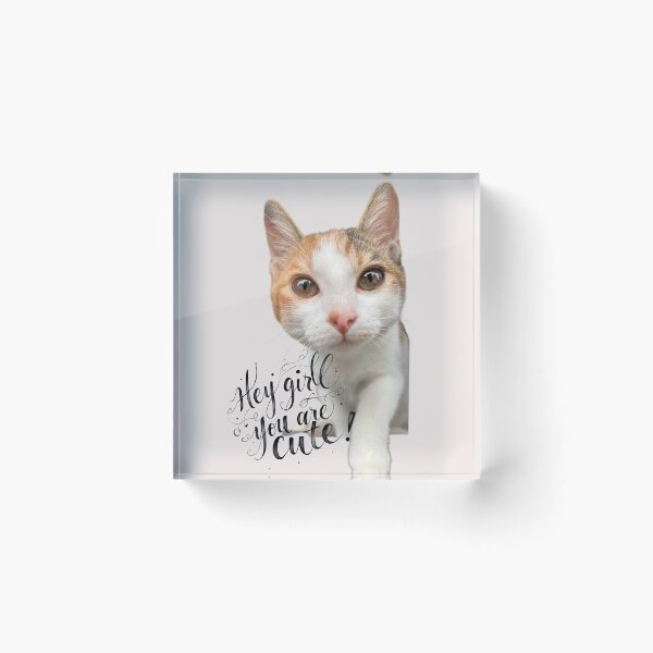 Item preview, Cute cat love stare designed and sold by Krissshop31.