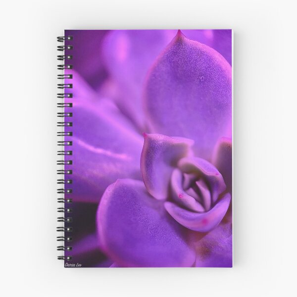 Item preview, Succulent Soft Geometry  designed and sold by Daria Lev Photo Art.