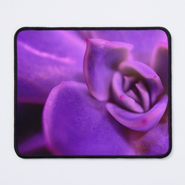 Item preview, Succulent Soft Geometry  designed and sold by Daria Lev Photo Art.