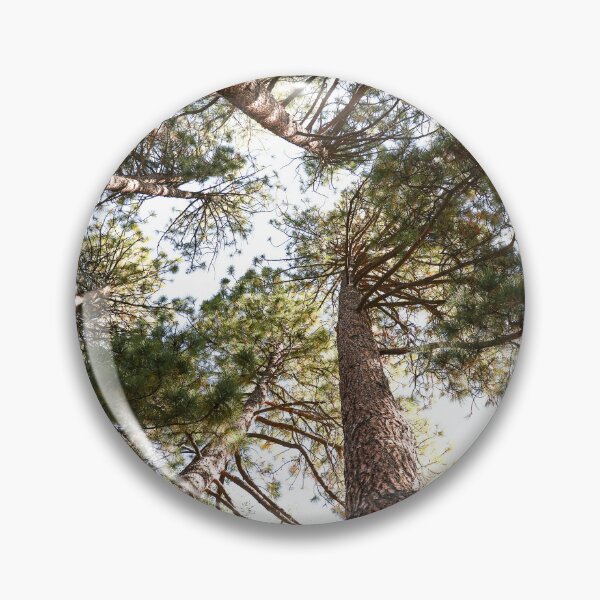 Item preview, "Til we meet again" The tall trees I found in Oregon! designed and sold by artsychickphoto.