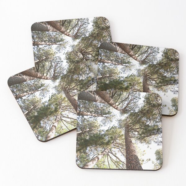 Item preview, "Til we meet again" The tall trees I found in Oregon! designed and sold by artsychickphoto.
