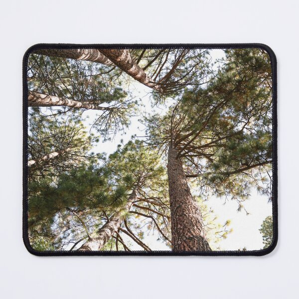 Item preview, "Til we meet again" The tall trees I found in Oregon! designed and sold by artsychickphoto.