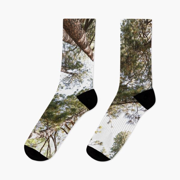 Item preview, "Til we meet again" The tall trees I found in Oregon! designed and sold by artsychickphoto.
