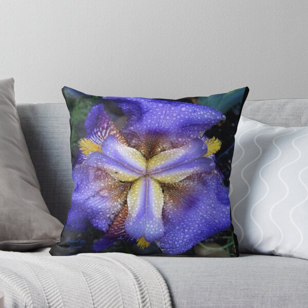 Item preview, Iris fresh with raindrops designed and sold by thirdeyeofnewt.