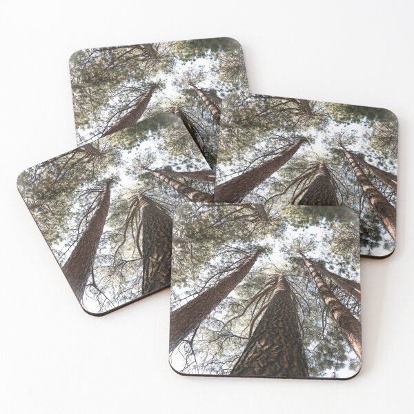 Item preview, "Til we meet again" The tall trees I found in Oregon! #2 designed and sold by artsychickphoto.