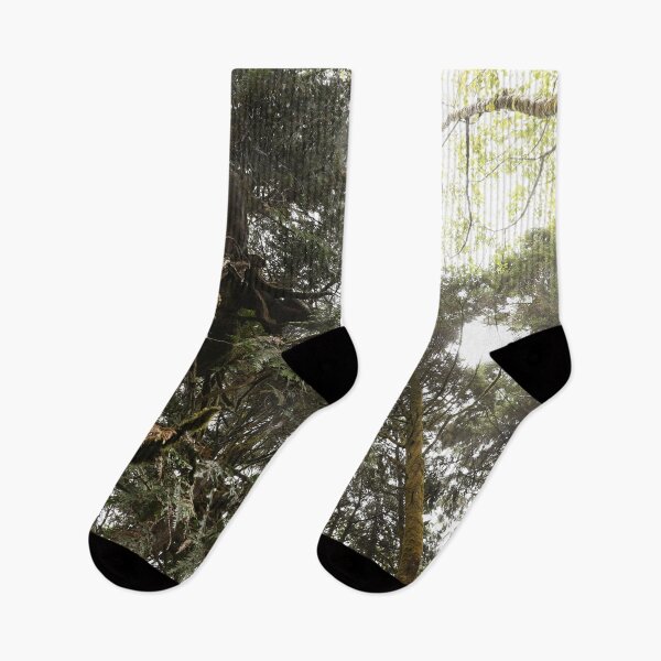 Item preview, Magical Rainforest at Copalis Beach in Washington designed and sold by artsychickphoto.