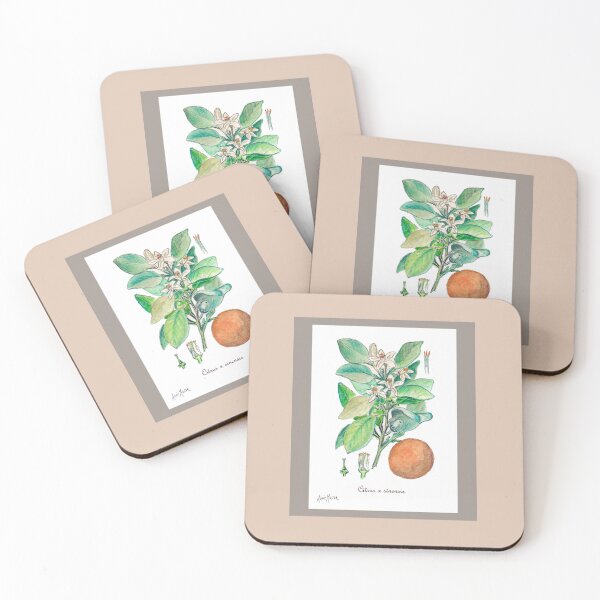 Item preview, Citrus x sinensis (orange plant) - watercolor and pen illustration designed and sold by Annie Mason Art.
