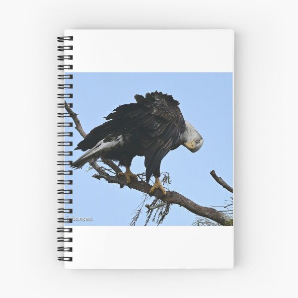 Item preview, Checking six  designed and sold by Glennphotos.