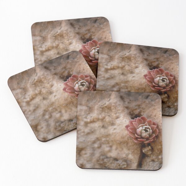Item preview, Stone Flower designed and sold by Enigmatrix.