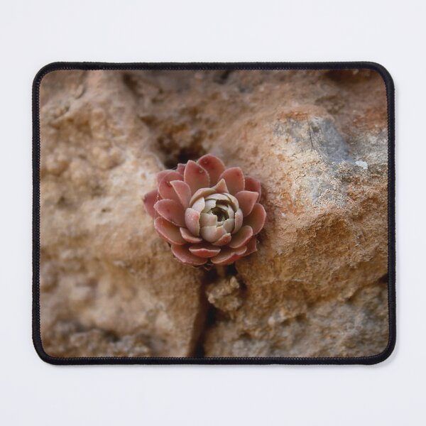 Item preview, Stone Flower designed and sold by Enigmatrix.