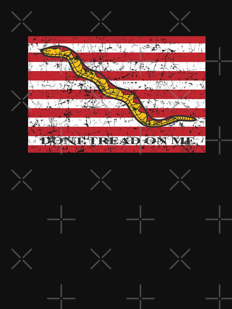 Vintage Distressed Dont Tread On Me Flag by hobrath