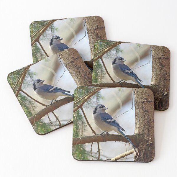 Item preview, Blue Jay perching on a branch in the forest designed and sold by MarkSmalley.