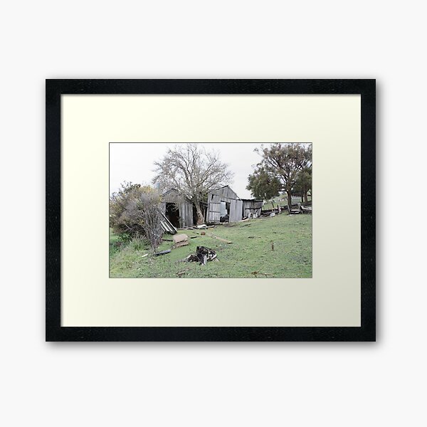 Item preview, Sheds - Campania, Tasmania designed and sold by PaulWJewell.