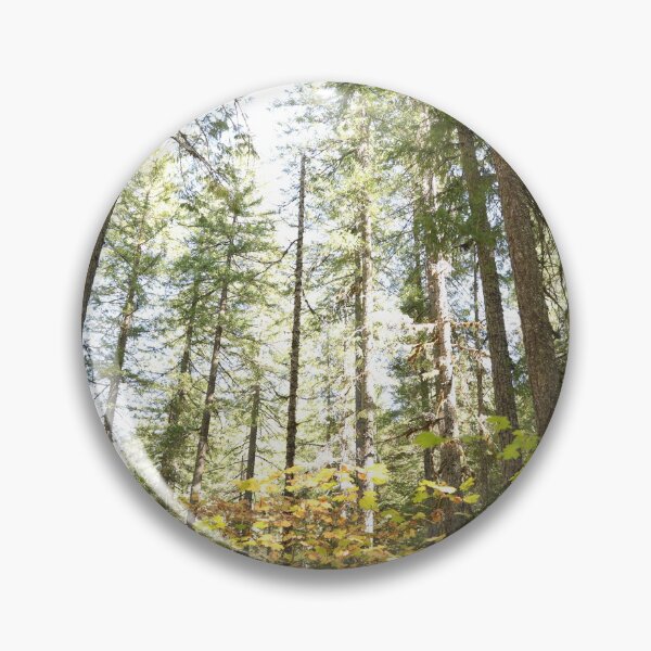 Item preview, Oregon forest, you are magical. - Into the forest, next to the trees. designed and sold by artsychickphoto.