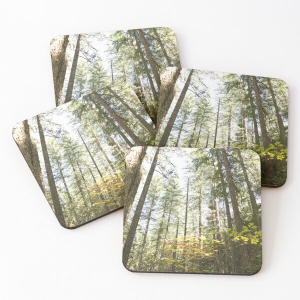 Item preview, Oregon forest, you are magical. - Into the forest, next to the trees. designed and sold by artsychickphoto.