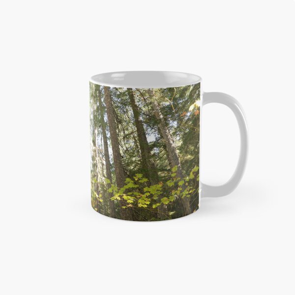 Item preview, Oregon forest, you are magical. - Into the forest, next to the trees. designed and sold by artsychickphoto.