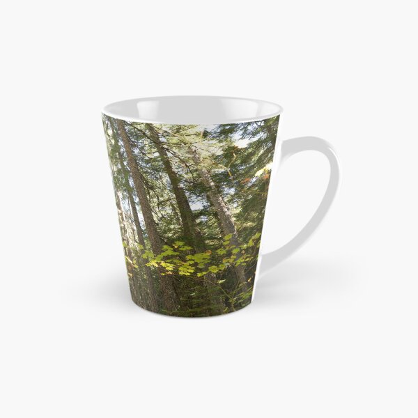 Item preview, Oregon forest, you are magical. - Into the forest, next to the trees. designed and sold by artsychickphoto.