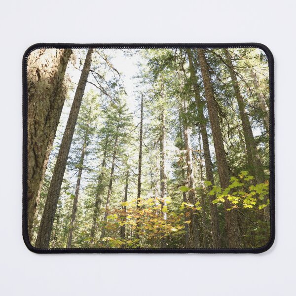 Item preview, Oregon forest, you are magical. - Into the forest, next to the trees. designed and sold by artsychickphoto.