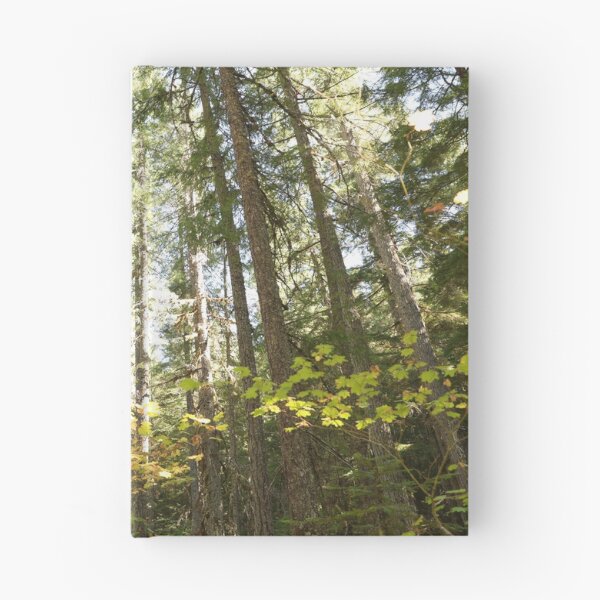Item preview, Oregon forest, you are magical. - Into the forest, next to the trees. designed and sold by artsychickphoto.