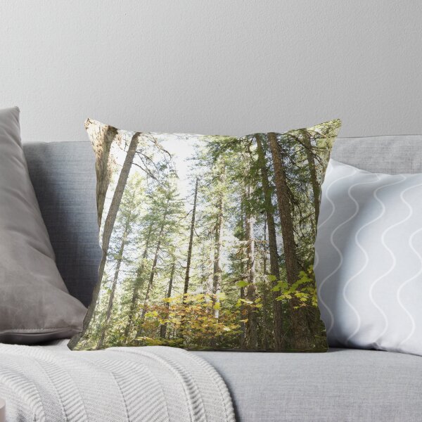 Item preview, Oregon forest, you are magical. - Into the forest, next to the trees. designed and sold by artsychickphoto.