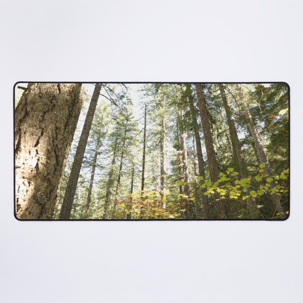 Item preview, Oregon forest, you are magical. - Into the forest, next to the trees. designed and sold by artsychickphoto.