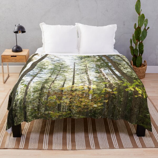 Item preview, Oregon forest, you are magical. - Into the forest, next to the trees. designed and sold by artsychickphoto.