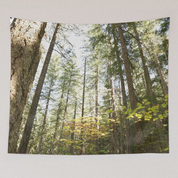 Item preview, Oregon forest, you are magical. - Into the forest, next to the trees. designed and sold by artsychickphoto.